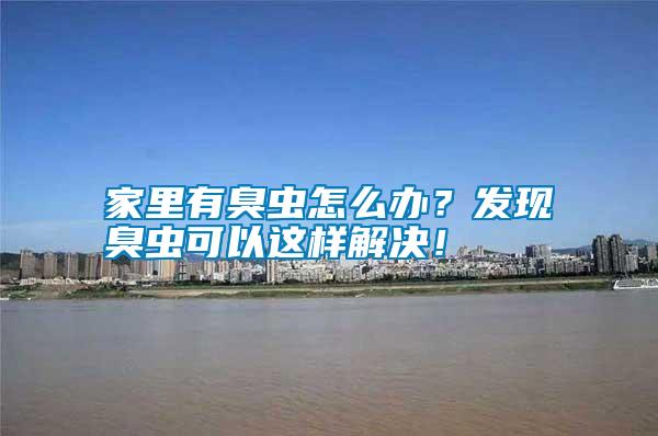 家里有臭蟲怎么辦？發(fā)現(xiàn)臭蟲可以這樣解決！