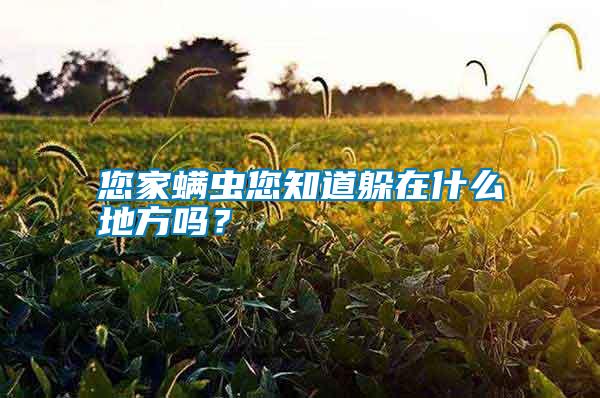 您家螨蟲您知道躲在什么地方嗎？