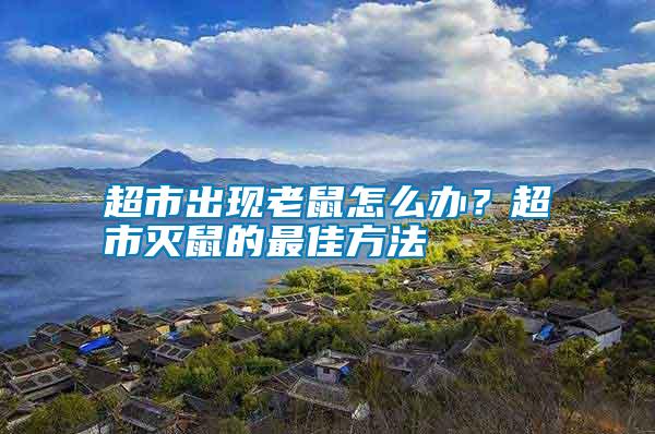 超市出現老鼠怎么辦？超市滅鼠的最佳方法