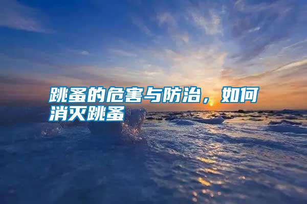 跳蚤的危害與防治，如何消滅跳蚤