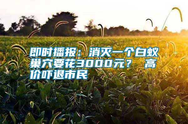 即時(shí)播報(bào)：消滅一個(gè)白蟻巢穴要花3000元？ 高價(jià)嚇退市民