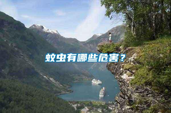 蚊蟲有哪些危害？