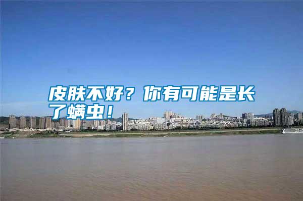 皮膚不好？你有可能是長了螨蟲！