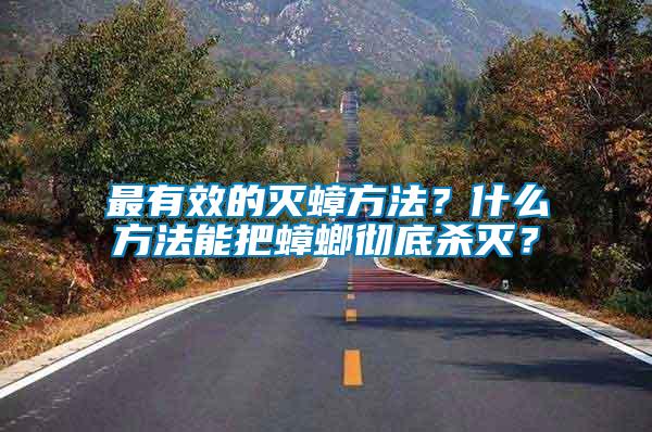 最有效的滅蟑方法？什么方法能把蟑螂徹底殺滅？