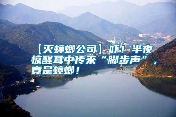 【滅蟑螂公司】嚇！半夜驚醒耳中傳來“腳步聲”，竟是蟑螂！