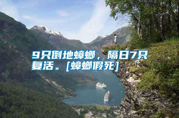 9只倒地蟑螂，隔日7只復活。[蟑螂假死]