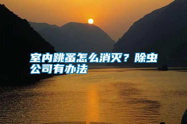 室內跳蚤怎么消滅？除蟲公司有辦法