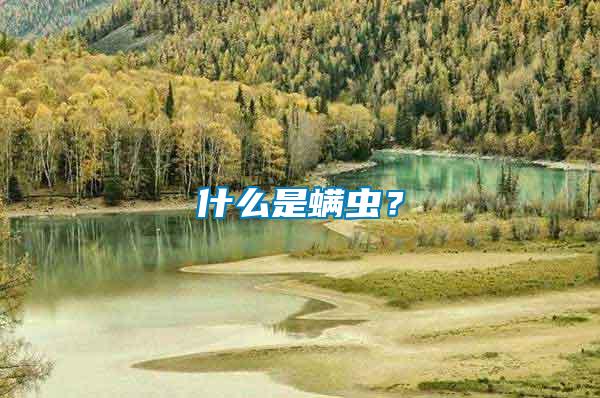 什么是螨蟲？