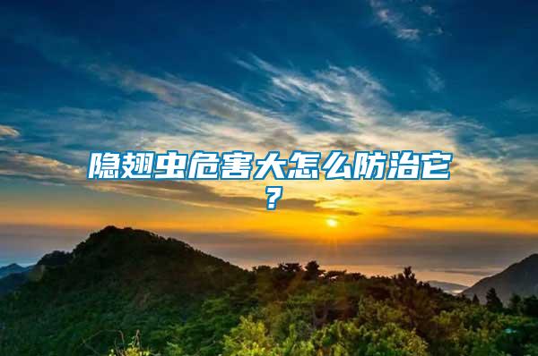 隱翅蟲危害大怎么防治它？