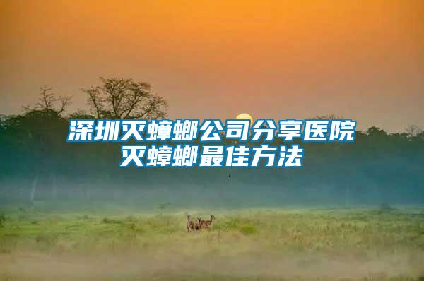 深圳滅蟑螂公司分享醫院滅蟑螂最佳方法