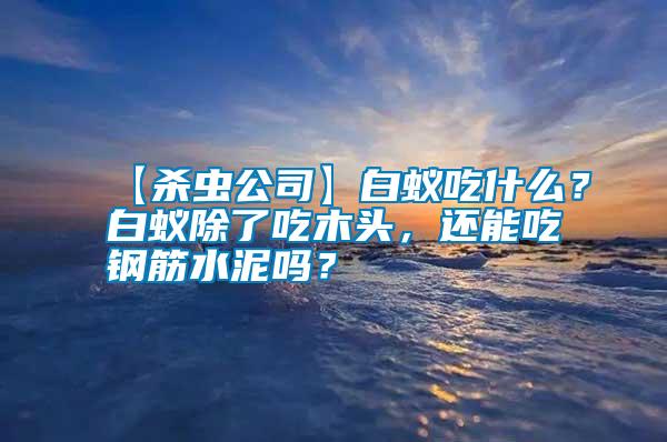 【殺蟲公司】白蟻吃什么？白蟻除了吃木頭，還能吃鋼筋水泥嗎？