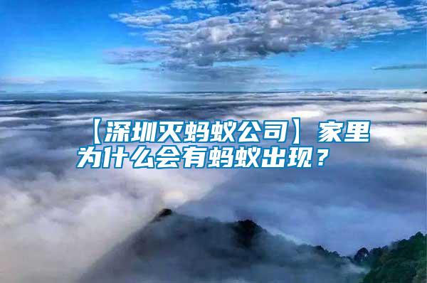 【深圳滅螞蟻公司】家里為什么會有螞蟻出現？