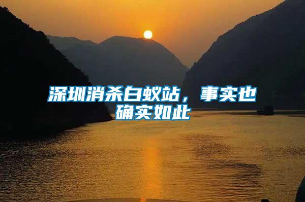 深圳消殺白蟻站，事實也確實如此