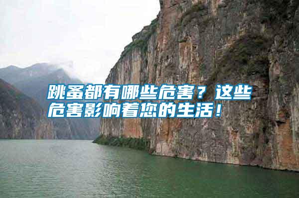 跳蚤都有哪些危害？這些危害影響著您的生活！
