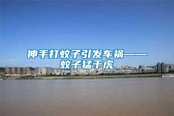 伸手打蚊子引發車禍——蚊子猛于虎