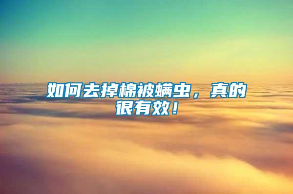 如何去掉棉被螨蟲，真的很有效！