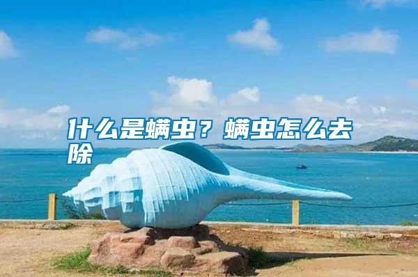 什么是螨蟲(chóng)？螨蟲(chóng)怎么去除