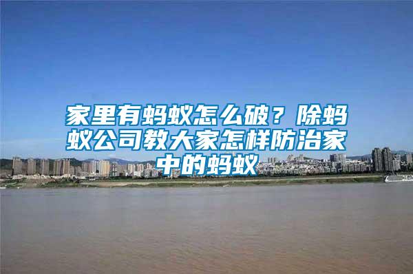家里有螞蟻怎么破？除螞蟻公司教大家怎樣防治家中的螞蟻