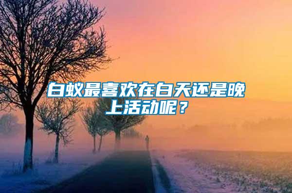 白蟻?zhàn)钕矚g在白天還是晚上活動(dòng)呢?