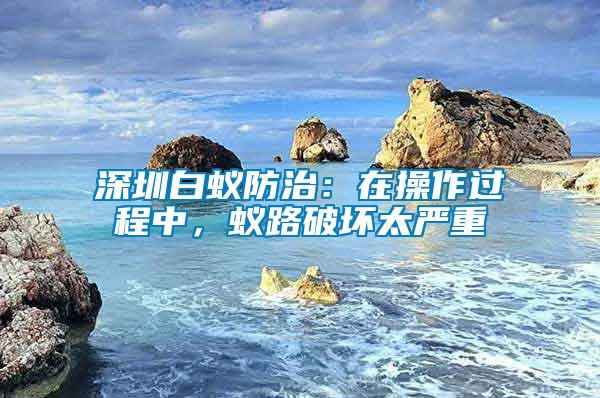 深圳白蟻防治：在操作過程中，蟻路破壞太嚴重