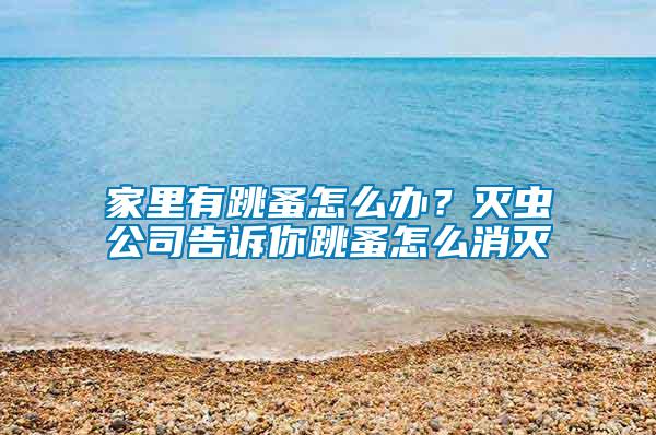 家里有跳蚤怎么辦？滅蟲公司告訴你跳蚤怎么消滅