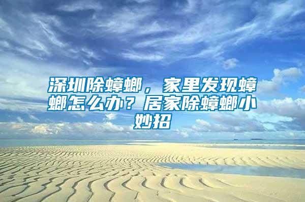 深圳除蟑螂，家里發現蟑螂怎么辦？居家除蟑螂小妙招