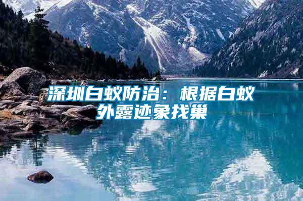 深圳白蟻防治：根據白蟻外露跡象找巢