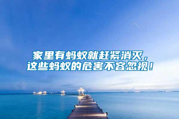 家里有螞蟻就趕緊消滅，這些螞蟻的危害不容忽視！