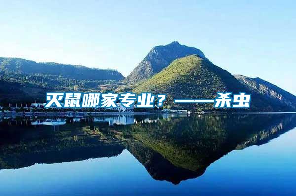 滅鼠哪家專業(yè)？——?dú)⑾x