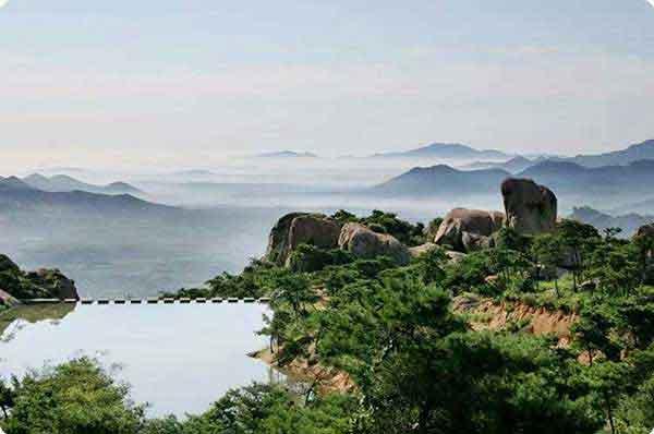 家里有跳蚤怎么辦？消殺公司教大家跳蚤怎么消滅