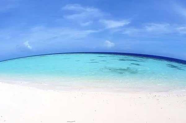 滅鼠公司在布放毒餌粘的統(tǒng)一標準