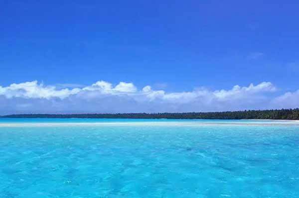 深圳滅蟲公司為你營造整潔無蟲好環境