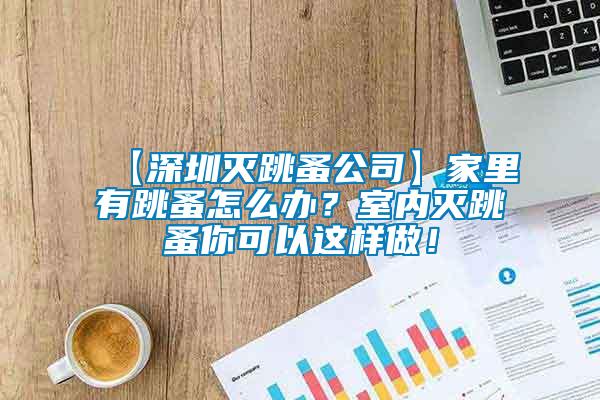【深圳滅跳蚤公司】家里有跳蚤怎么辦？室內滅跳蚤你可以這樣做！