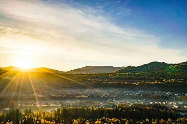 有了蟑螂怎么辦、要及時處理嗎