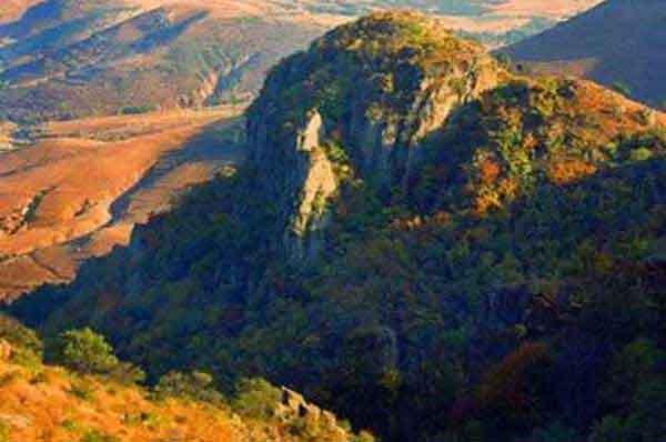 家里發現螞蟻怎么辦？怎么消滅螞蟻？