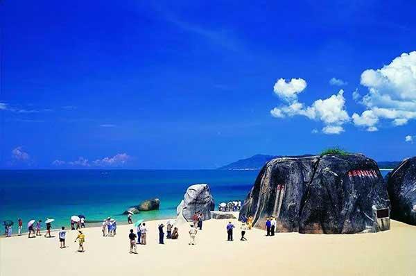 重慶：香樟被白蟻蛀、丁香成片死亡 社區樹木盼急診