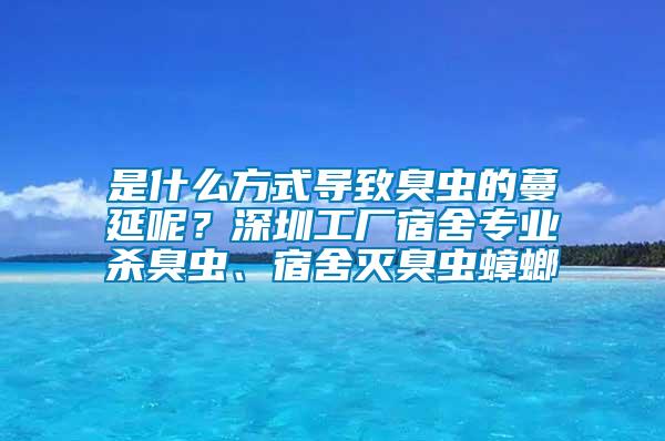 是什么方式導致臭蟲的蔓延呢？深圳工廠宿舍專業(yè)殺臭蟲、宿舍滅臭蟲蟑螂