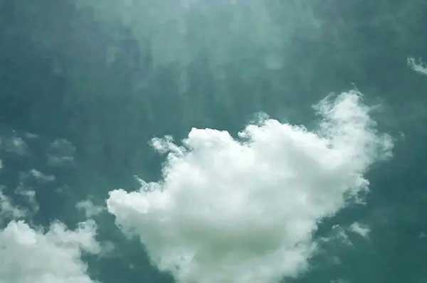 除蟲(chóng)公司滅螞蟻?zhàn)罴逊椒?/></p>
             <p style=