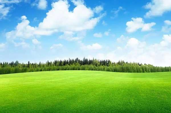 景區如何進行滅蒼蠅