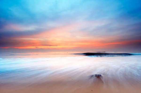 簡述深圳滅跳蚤的常用方法！