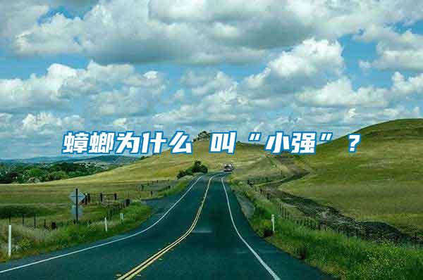 蟑螂為什么 叫“小強”？