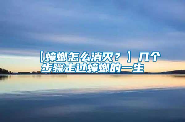【蟑螂怎么消滅？】幾個(gè)步驟走過蟑螂的一生