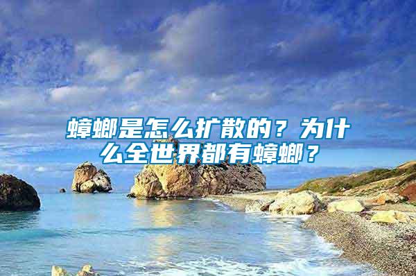 蟑螂是怎么擴散的？為什么全世界都有蟑螂？
