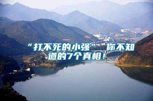 “打不死的小強(qiáng)” 你不知道的7個(gè)真相!
