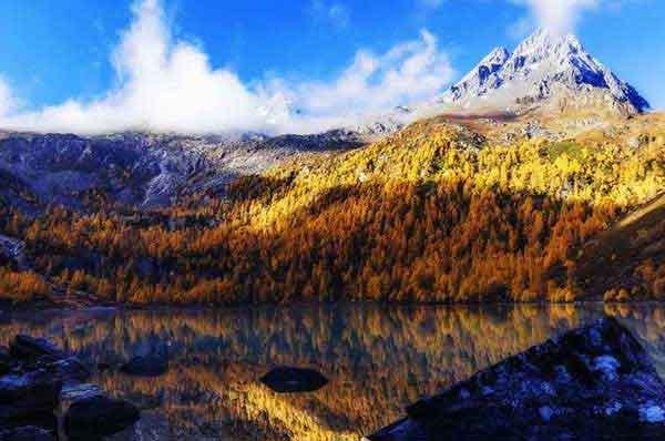 【深圳消殺公司】傳說中的“寨卡”病毒離我們究竟有多遠？