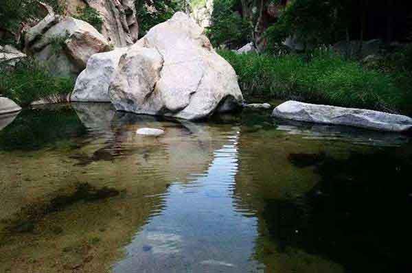 滅蟲公司,大家都需要