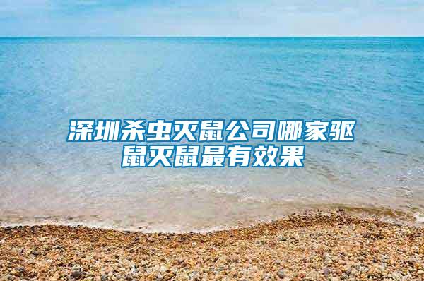 深圳殺蟲滅鼠公司哪家驅鼠滅鼠最有效果