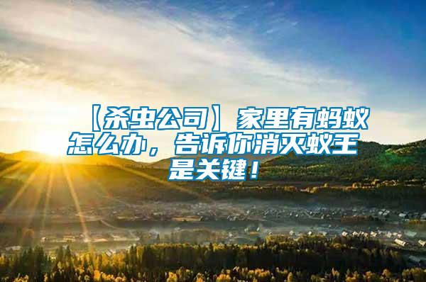 【殺蟲公司】家里有螞蟻怎么辦，告訴你消滅蟻王是關鍵！