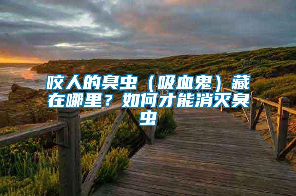 咬人的臭蟲(chóng)（吸血鬼）藏在哪里？如何才能消滅臭蟲(chóng)