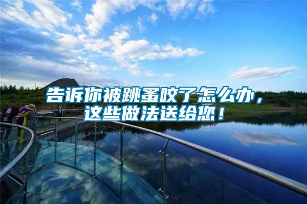 告訴你被跳蚤咬了怎么辦,這些做法送給您!